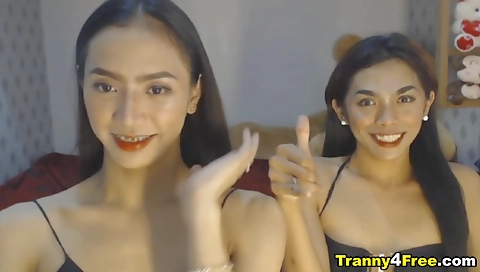 Petite asian shemale takes a dick in her shaved pussy